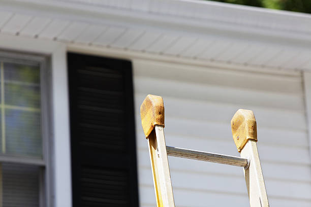 Best Siding Painting and Refinishing  in Pine Nyon, CA
