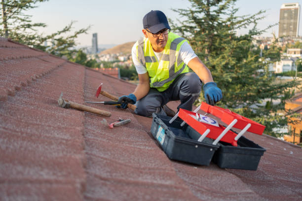 Best Storm Damage Siding Repair  in Pine Nyon, CA
